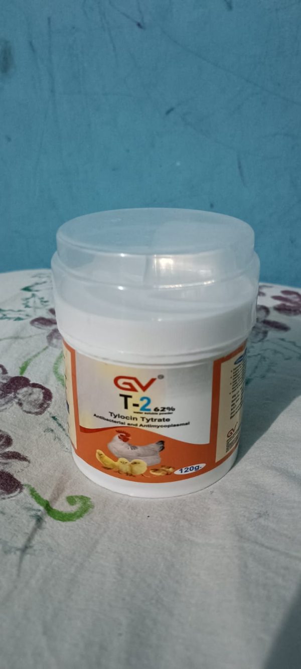 WhatsApp Image 2025-11-27 at 8.23.32 PM