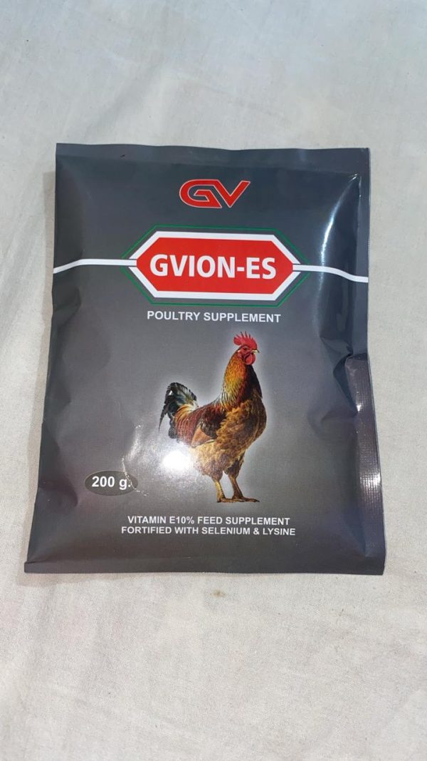 WhatsApp Image 2025-11-27 at 8.23.33 PM (1)